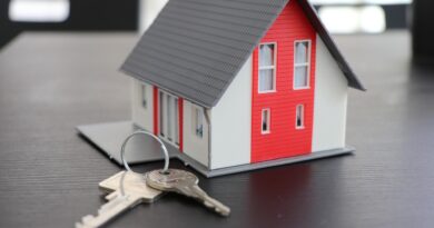 Young couple reviewing house documents with real estate agent