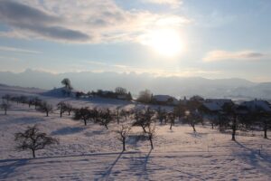 Aurö An In-Depth Look at Its Origins and Significance