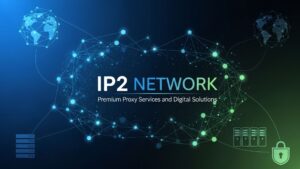 IP2 Networks The Future of Internet Connectivity