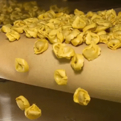 Tortellinatrice The Essential Pasta-Making Machine
