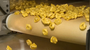 Tortellinatrice The Essential Pasta-Making Machine