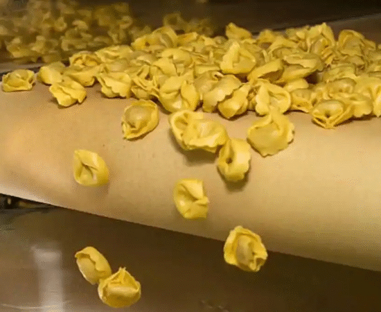 Tortellinatrice The Essential Pasta-Making Machine
